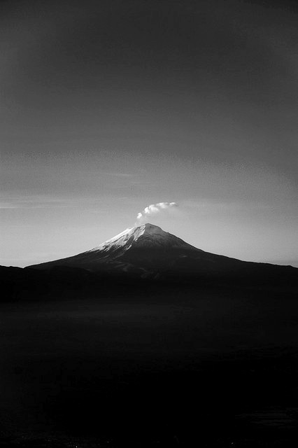 Archillect ID 4024