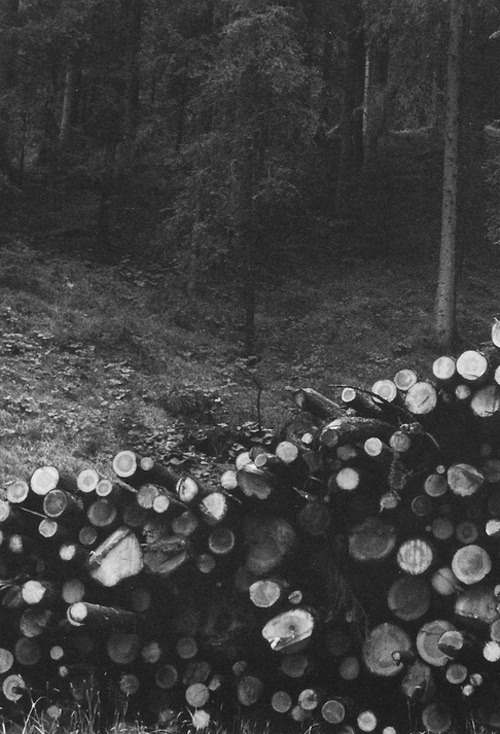Archillect ID 4033