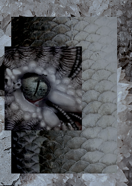 Archillect Archive ID 404
