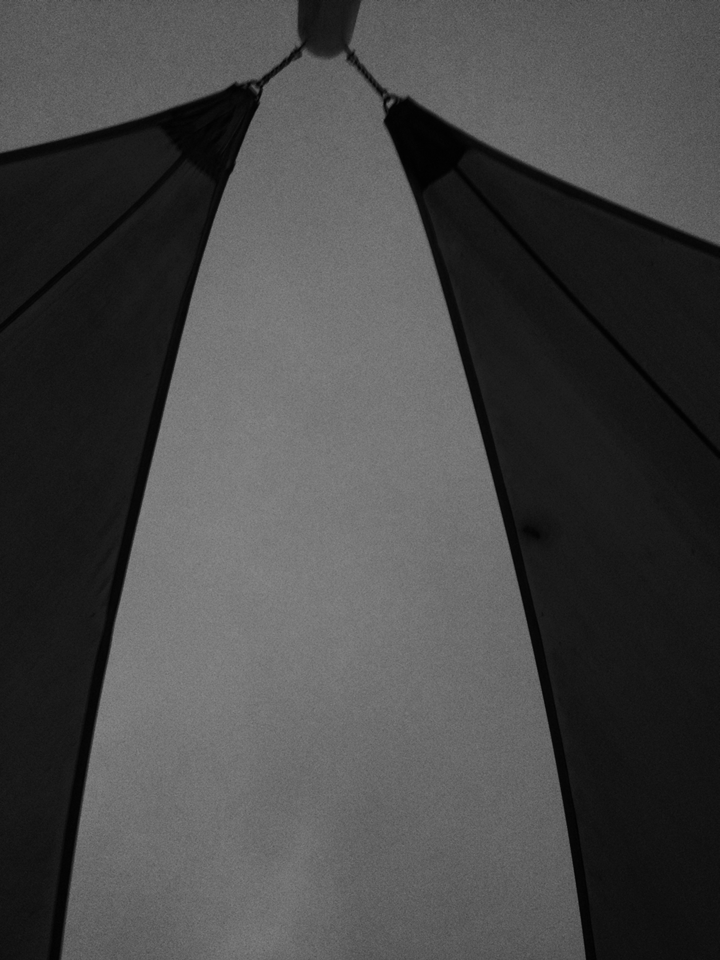 Archillect ID 4098