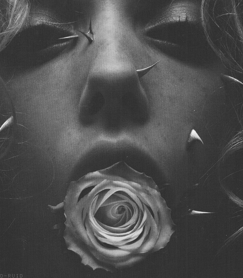 Archillect Archive ID 412