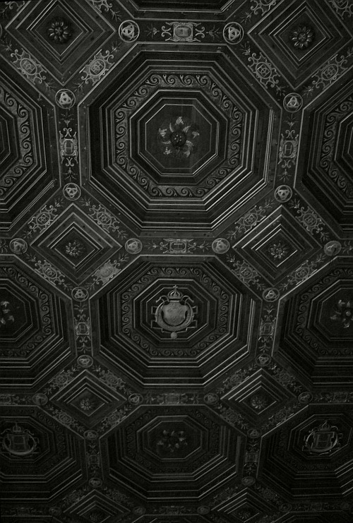 Archillect ID 4135