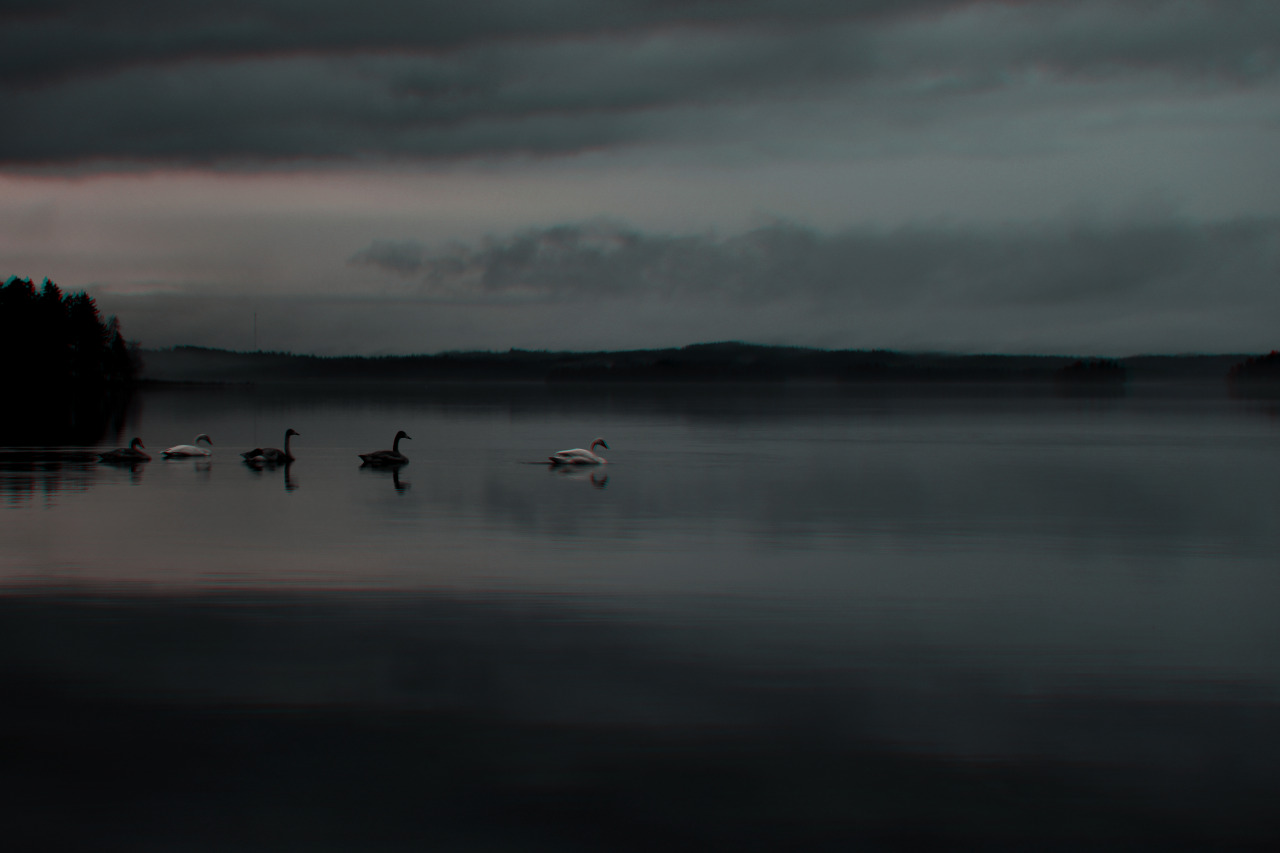 Archillect Archive ID 415
