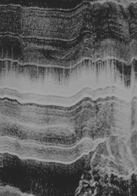 Archillect ID 4236