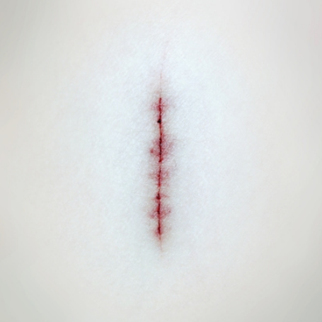 Archillect ID 4254