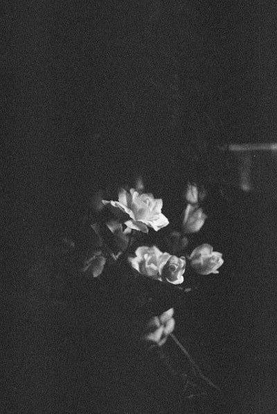 Archillect ID 4333