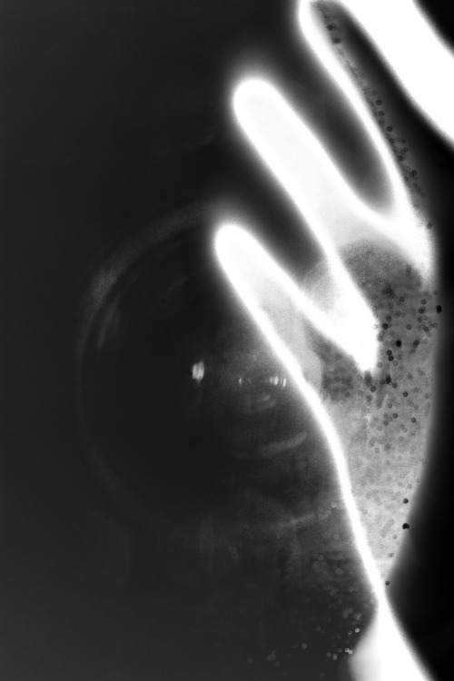Archillect ID 4416