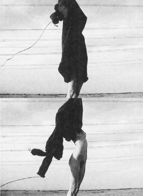 Archillect ID 4419