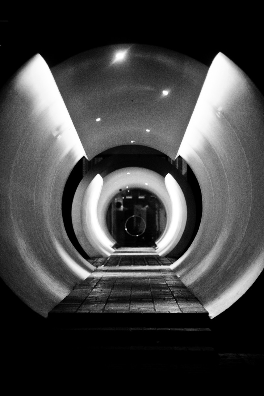 Archillect ID 4431