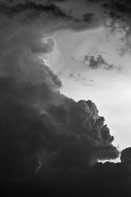 Archillect ID 4441