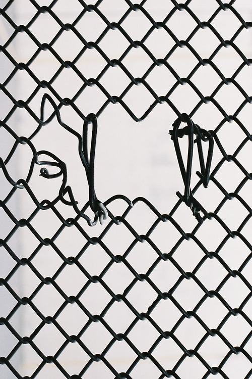 Archillect ID 4482