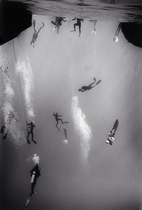 Archillect ID 4501