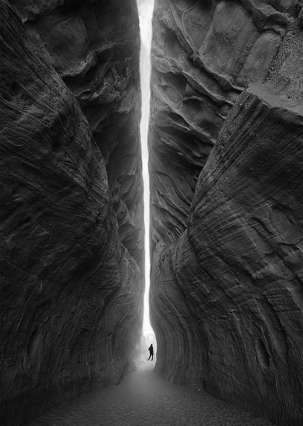 Archillect ID 4546