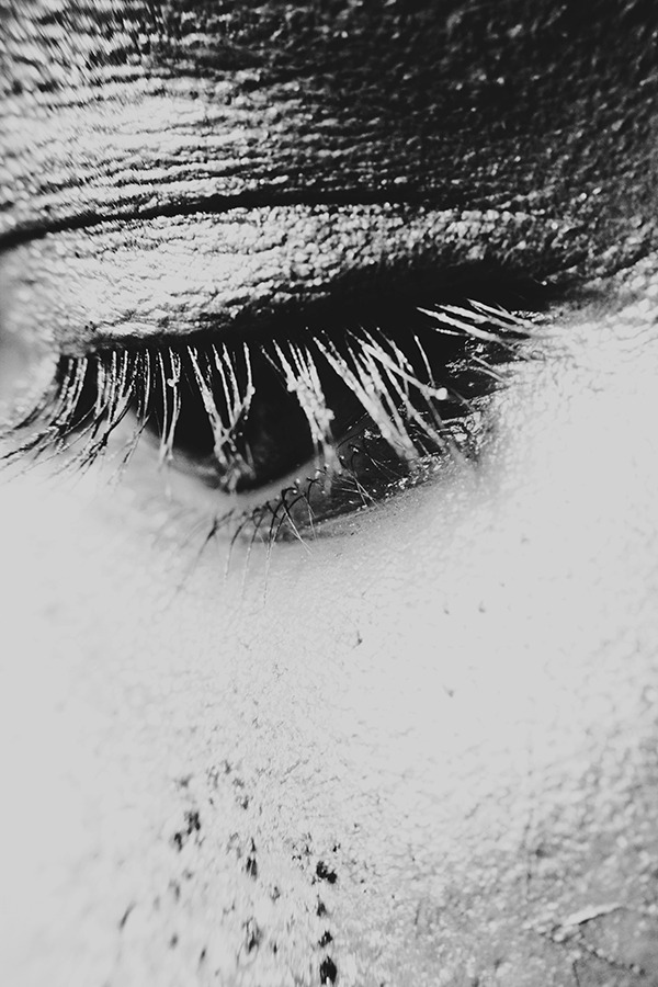 Archillect ID 4611