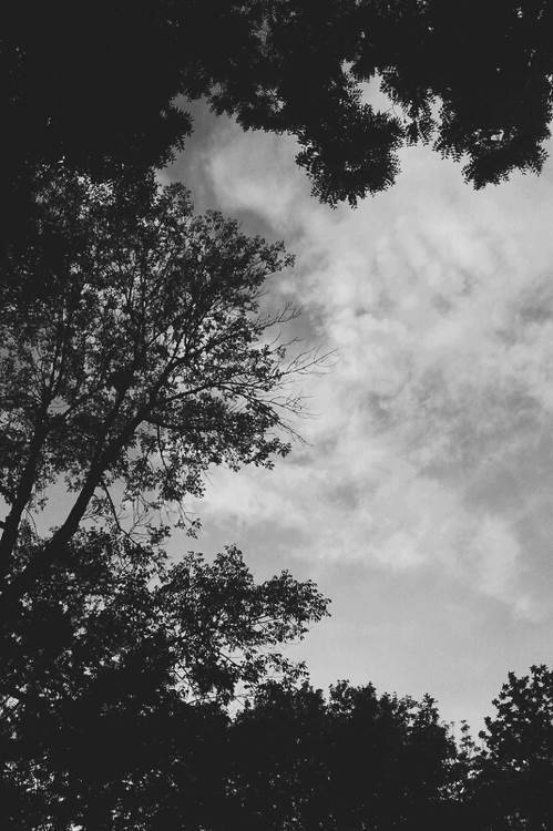 Archillect Archive ID 468