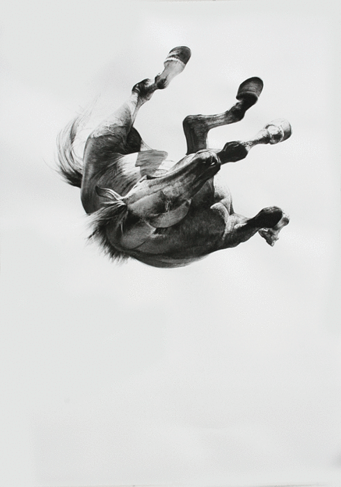 Archillect ID 4796