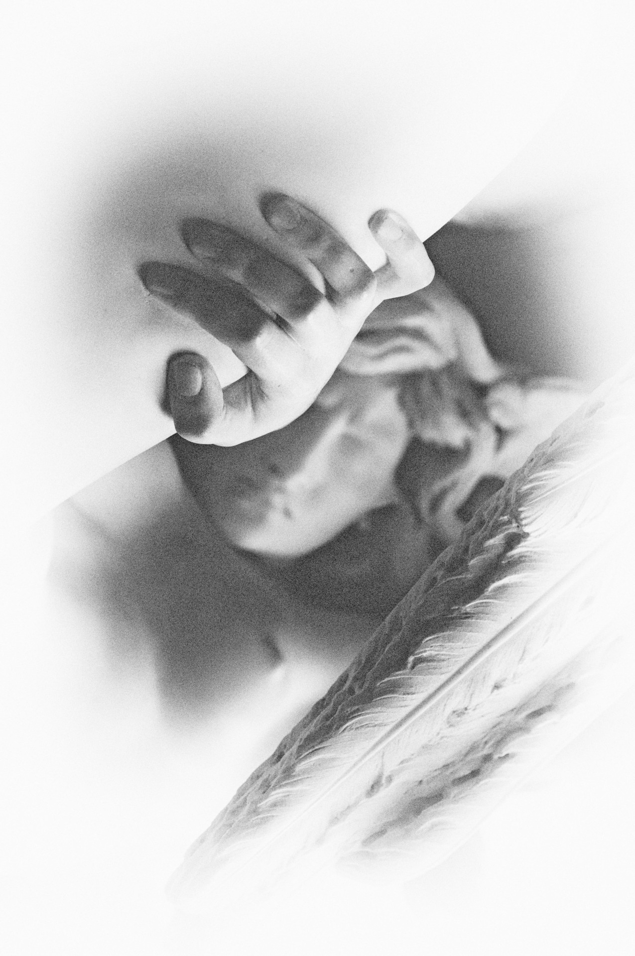 Archillect ID 4839