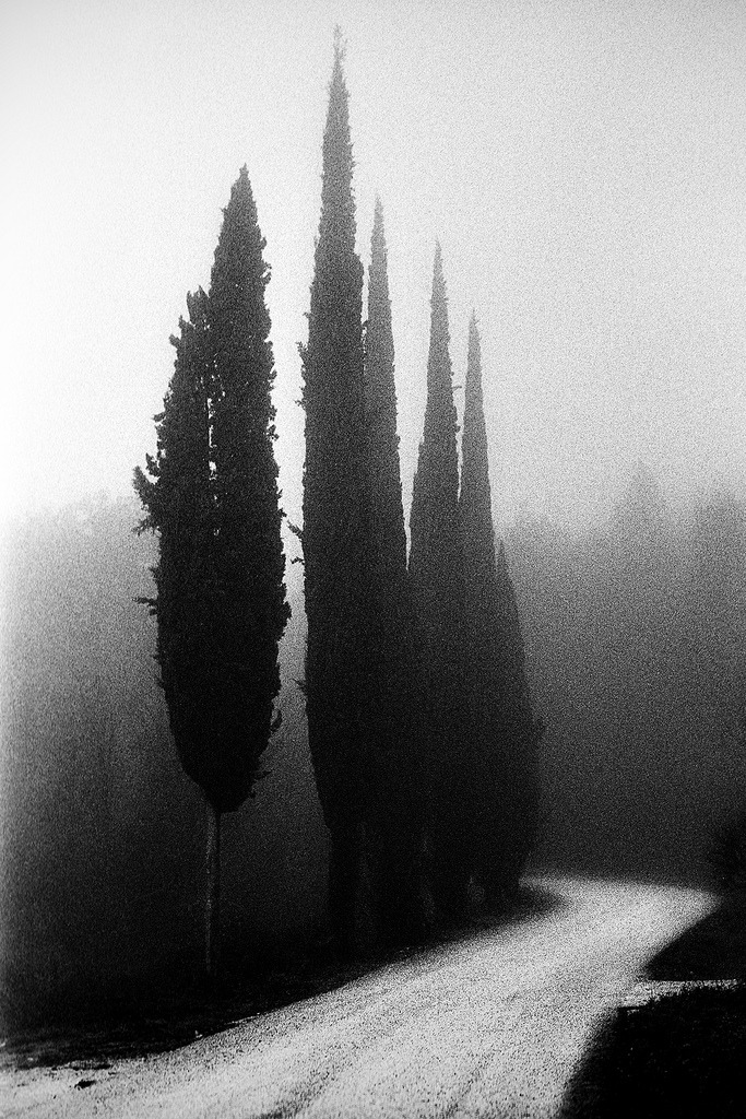 Archillect ID 4869