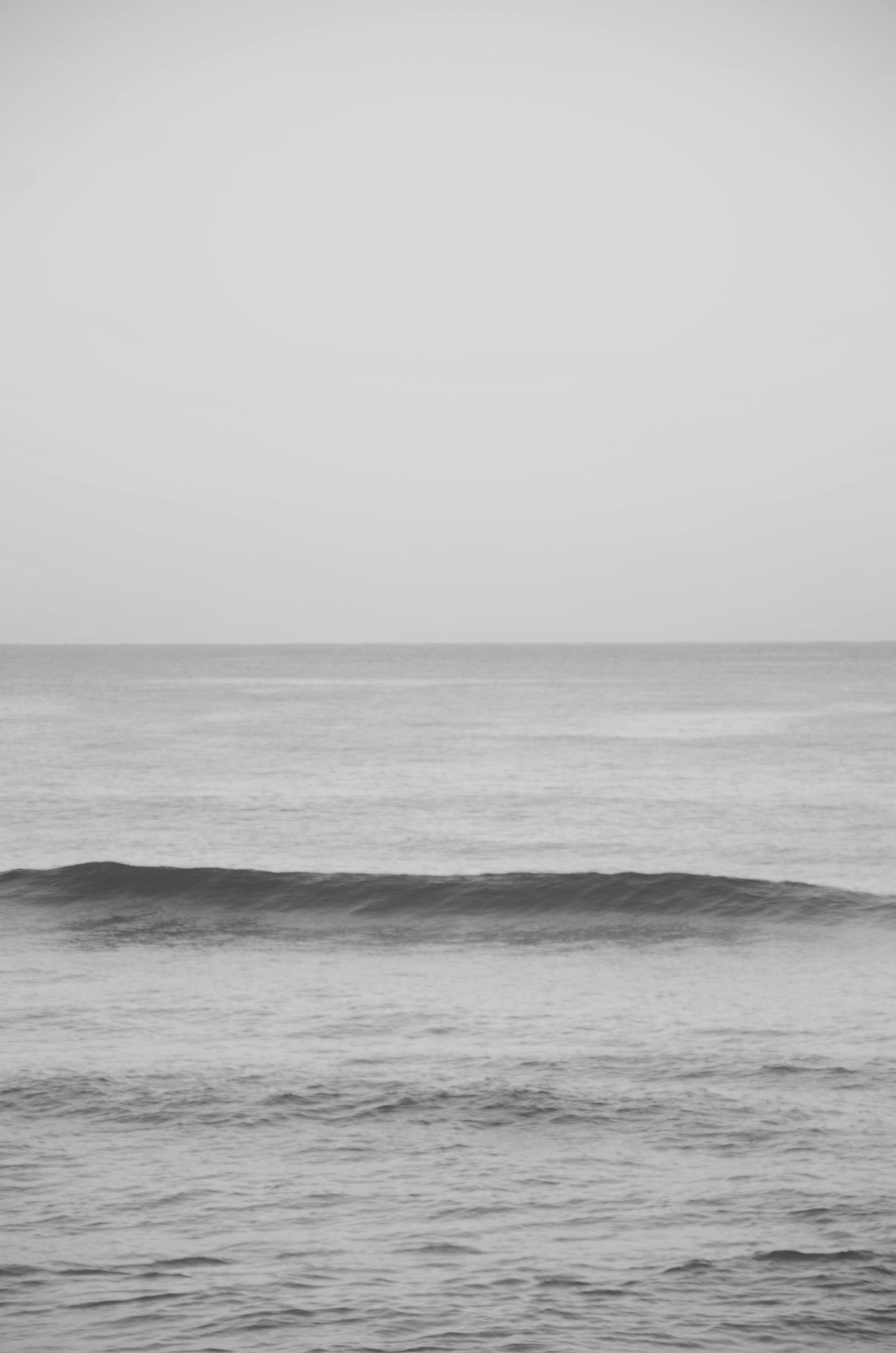 Archillect ID 4895
