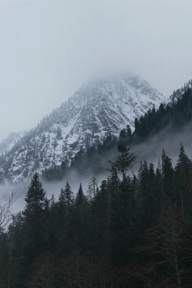 Archillect ID 5007