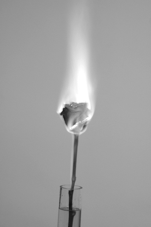 Archillect ID 5010