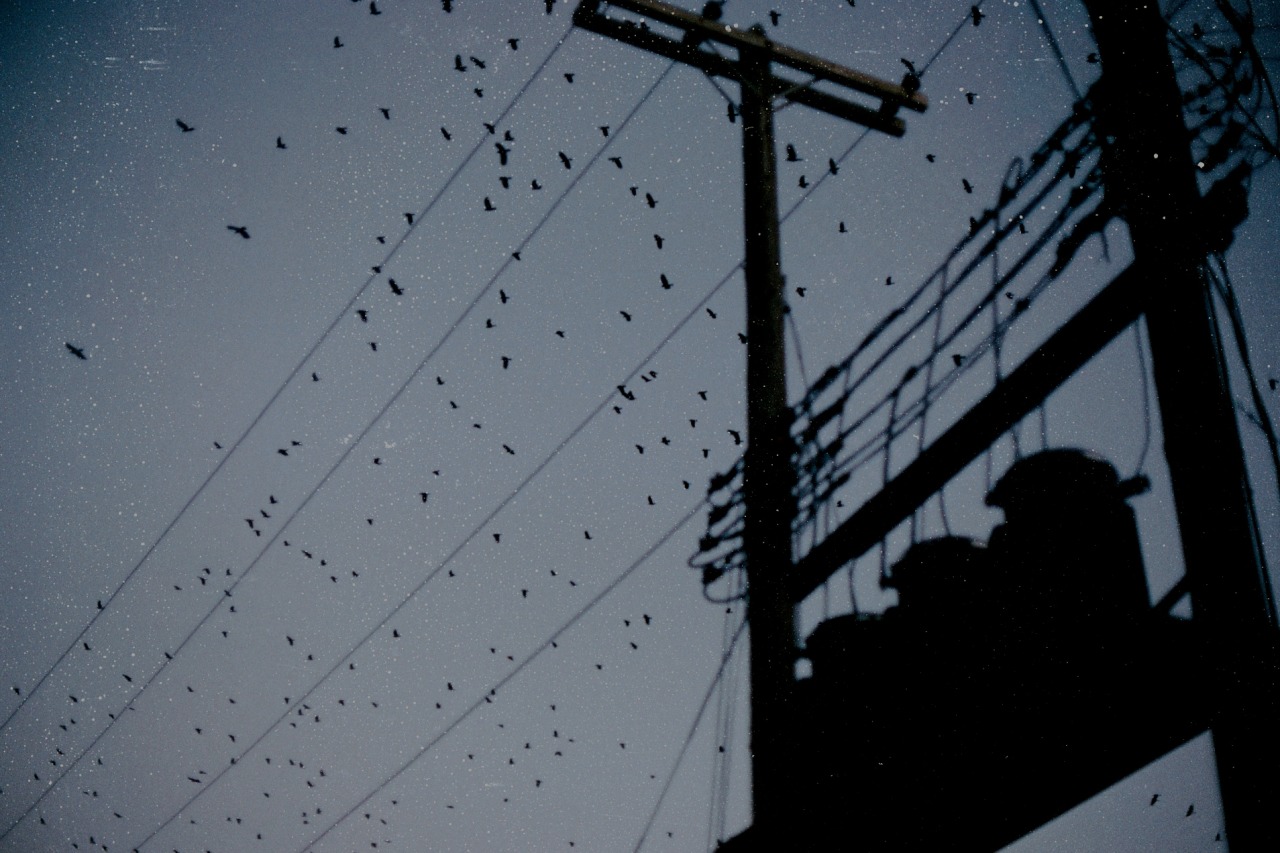 Archillect ID 5074