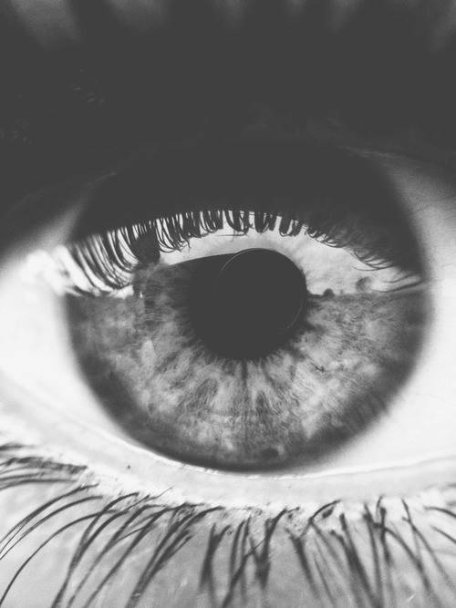 Archillect Archive ID 519
