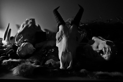 Archillect Archive ID 528