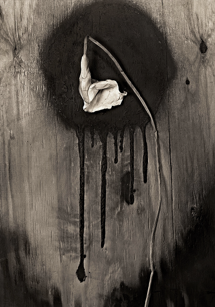 Archillect ID 5348