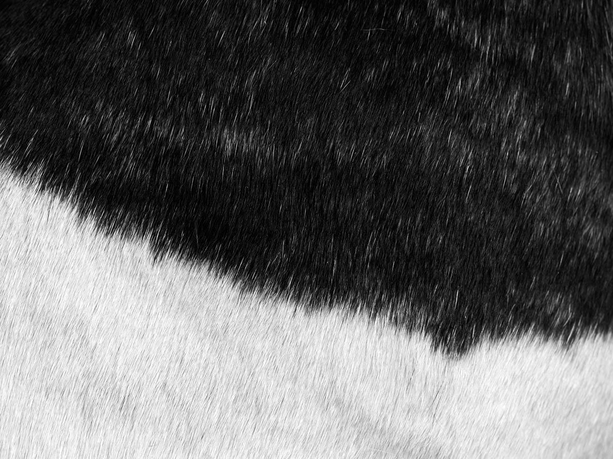 Archillect ID 5442