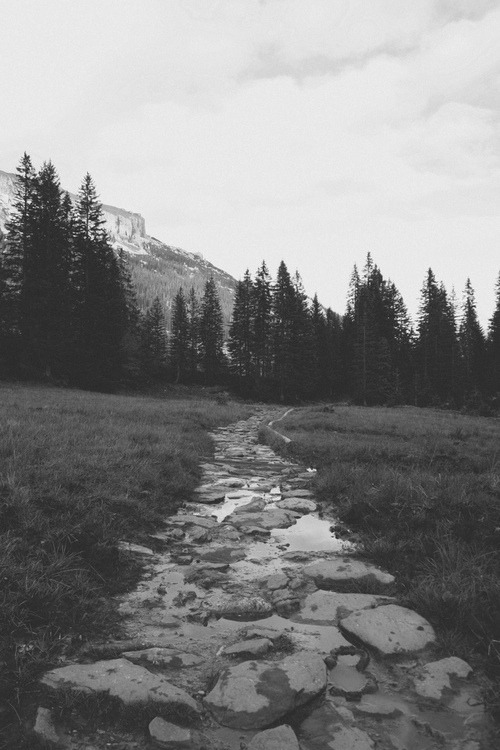 Archillect ID 5466