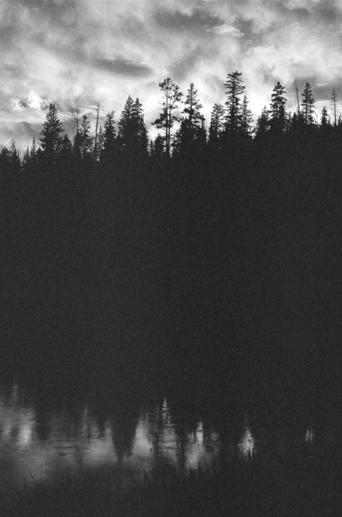 Archillect ID 5502