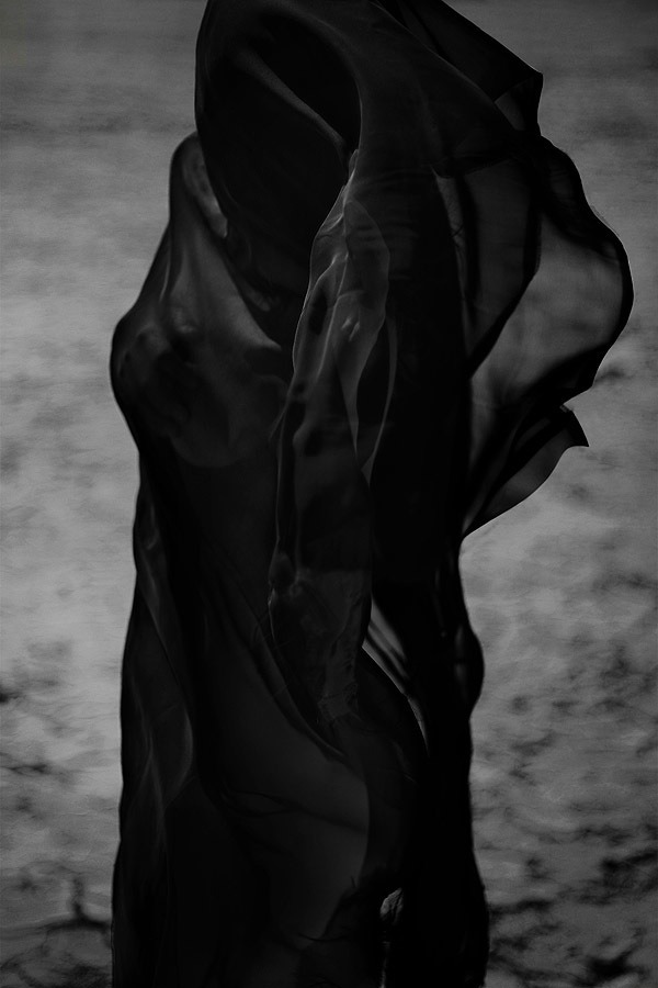 Archillect ID 5525