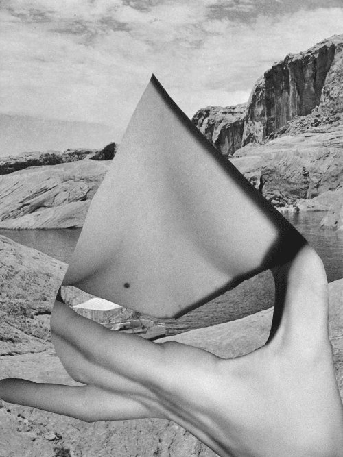 Archillect ID 5561