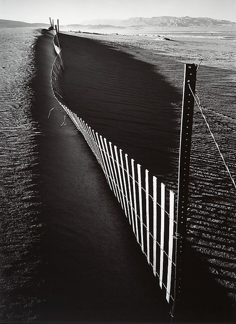 Archillect ID 5564