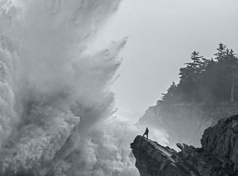 Archillect ID 5605