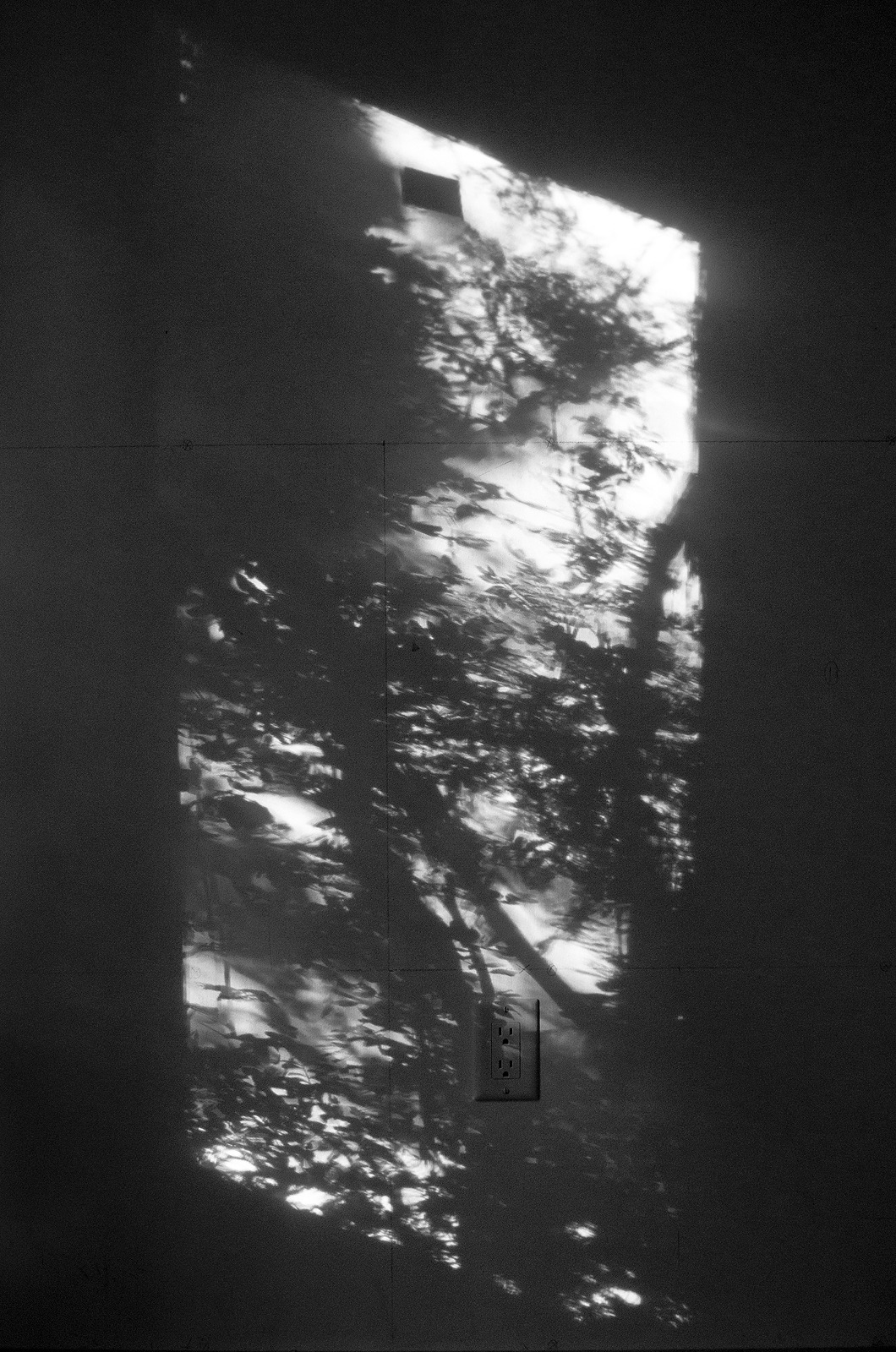 Archillect ID 5616