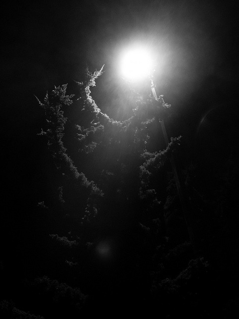 Archillect ID 5645