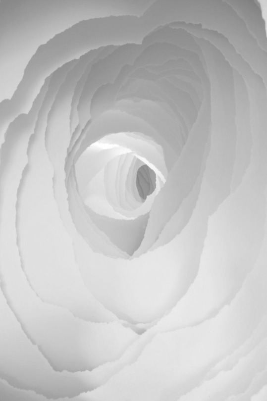 Archillect ID 5651