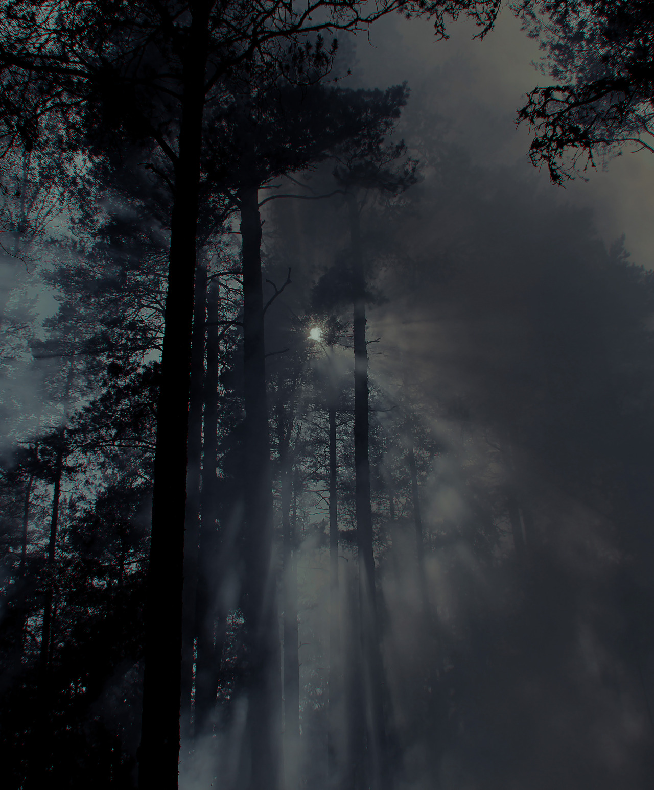 Archillect ID 5686