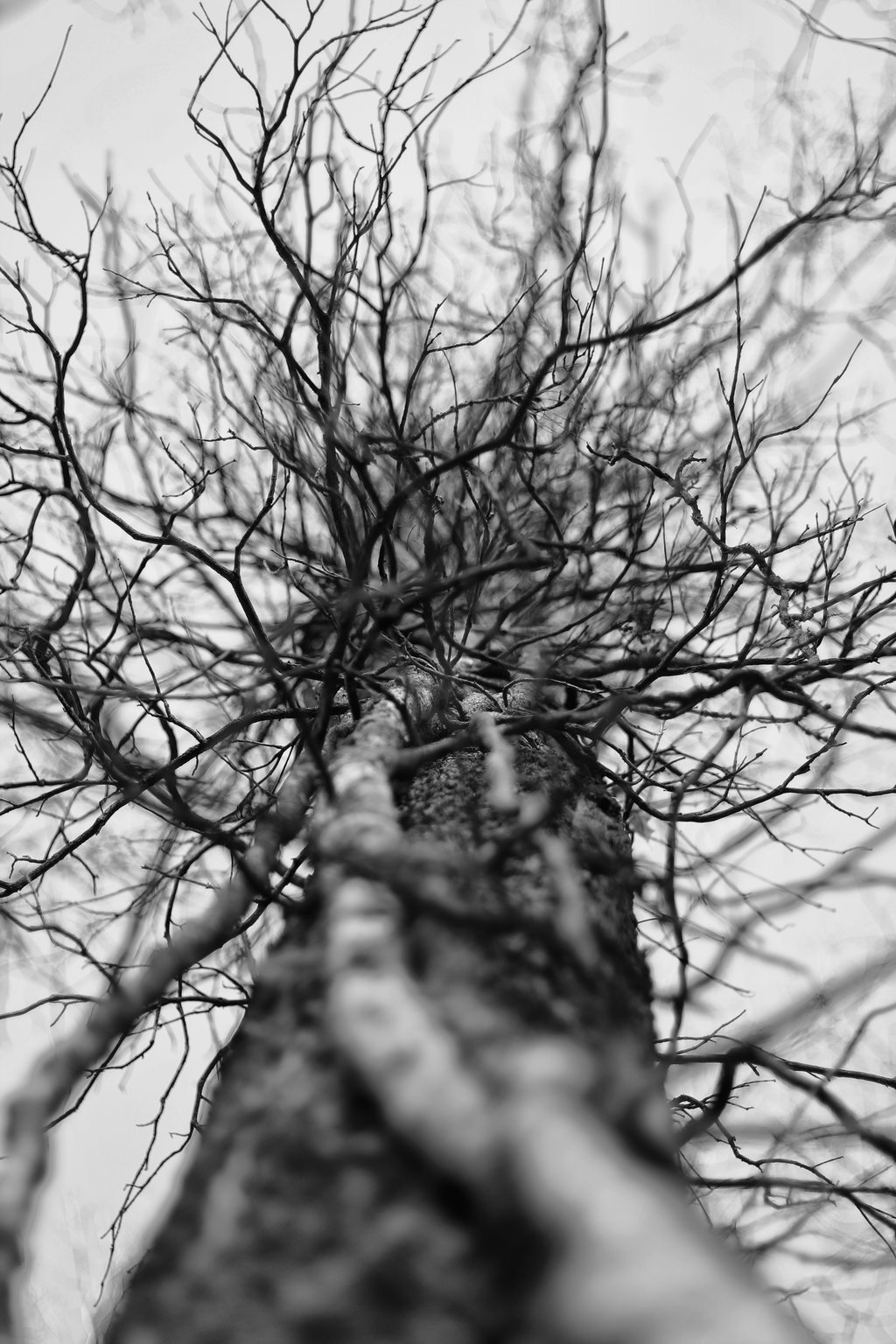 Archillect ID 5744