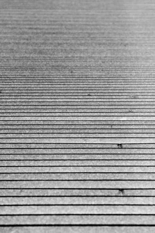 Archillect ID 5754