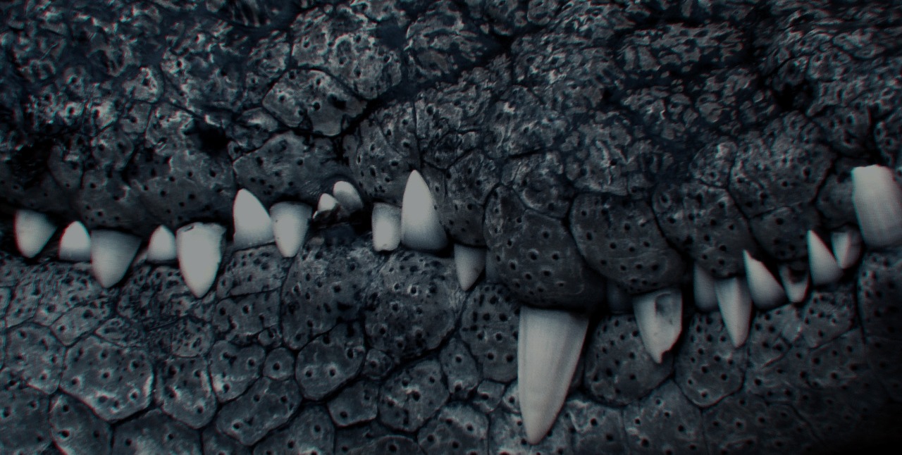 Archillect ID 5789
