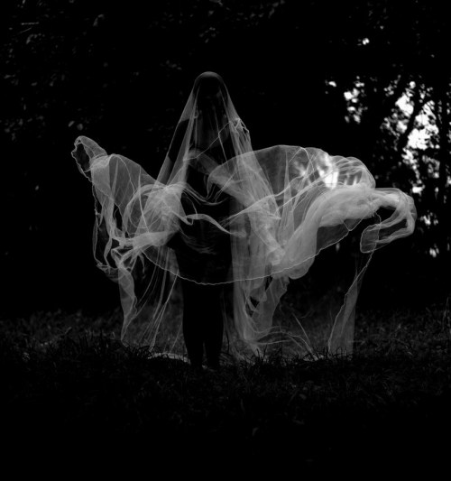 Archillect ID 5833