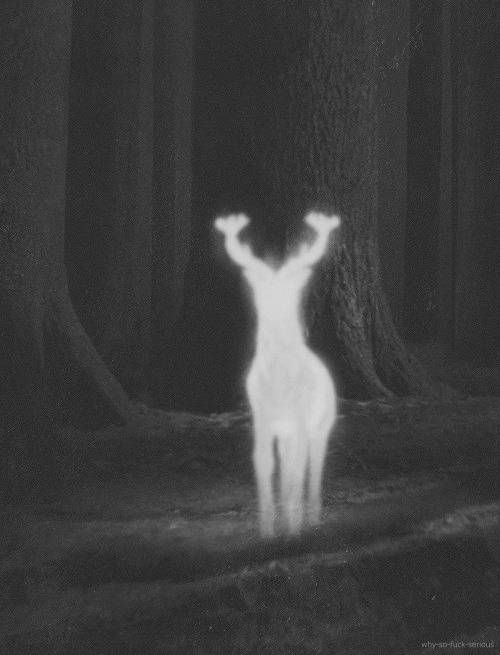 Archillect ID 5864