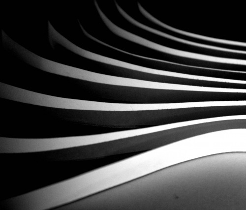 Archillect ID 5954