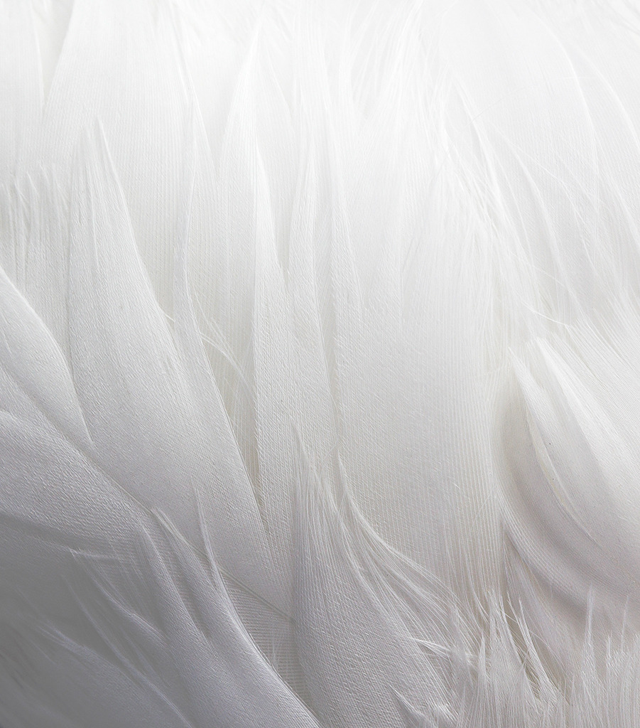 Archillect ID 6015