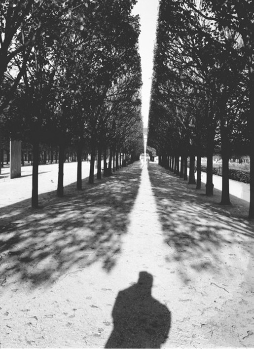 Archillect ID 6060