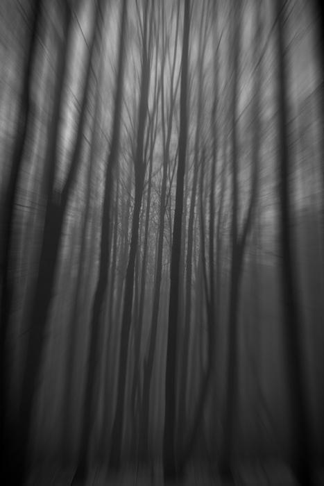 Archillect ID 6080