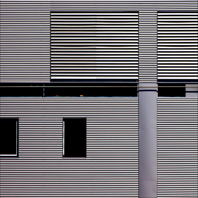 Archillect ID 6081